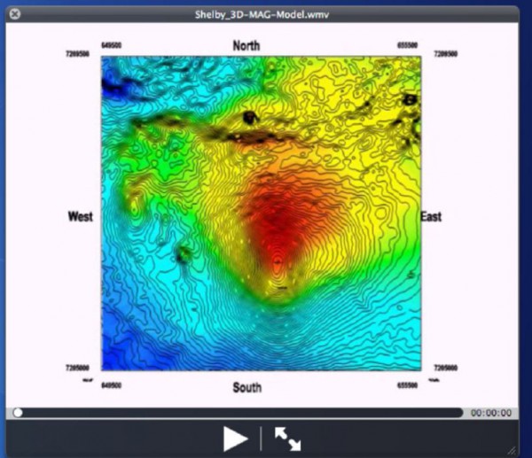 shelby-target-huge